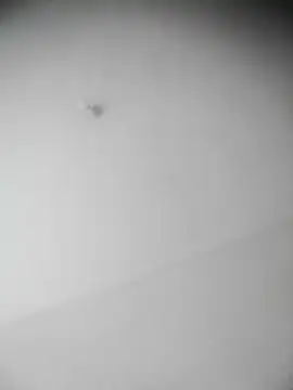 Snapshot of bestofyalcinturkey chatting on 12.03.24 bestofyalcinturkey online show from 12.03.24