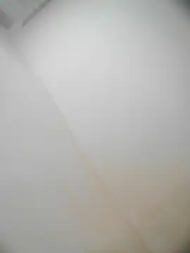 Snapshot of bestofyalcinturkey chatting on 12.22.24 bestofyalcinturkey online show from 12.22.24