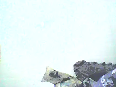 Stormward online show from 01.12.25