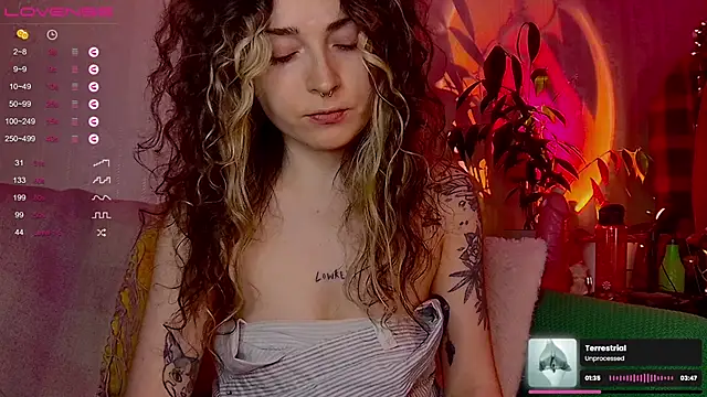 IttyKitty online show from 02.12.26