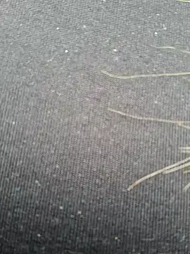 Evehampy online show from 12.01.24