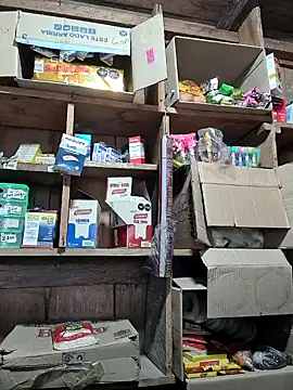 Evehampy online show from 01.03.25