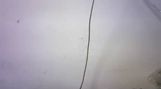 mrose8080 online show from 03.06.25