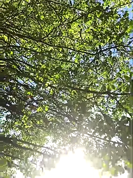 hottottrot691 online show from 09.28.25