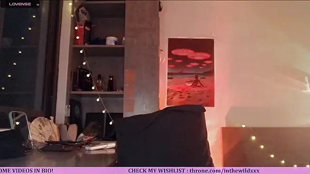 Cassie Wild online show from 07.02.26
