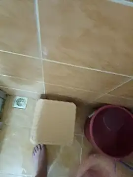 Sexis26 online show from 03.15.25