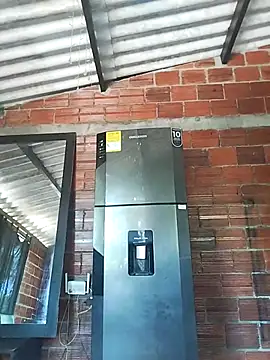 Yelly online show from 03.13.26