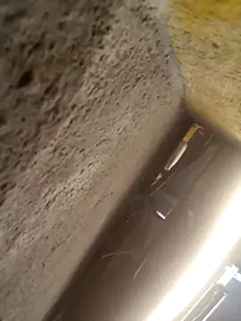 will1980 online show from 02.18.26