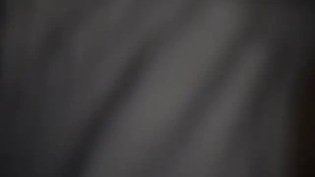 -AyeshaSinghania- online show from 02.17.26