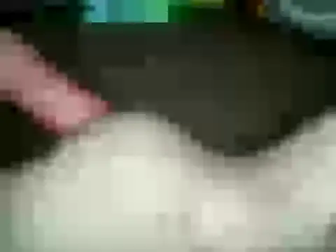 xxxlecram online show from 01.15.25