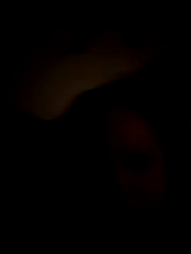 Cumslutsnowbunnie69 online show from 12.22.25