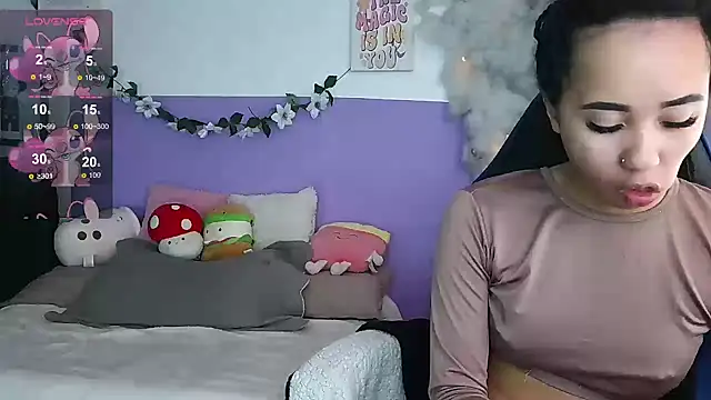 northly online show from 02.11.25