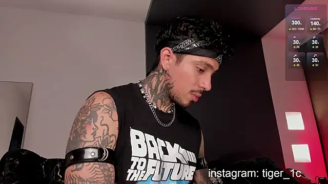 Snapshot of TigerStripes1_ chatting on 12.11.24 TigerStripes1 online show from 12.11.24