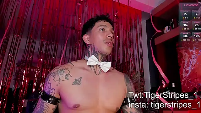 Snapshot of TigerStripes1_ chatting on 02.15.25 TigerStripes1 online show from 02.15.25