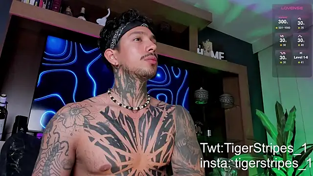 Snapshot of TigerStripes1_ chatting on 03.09.25 TigerStripes1 online show from 03.09.25