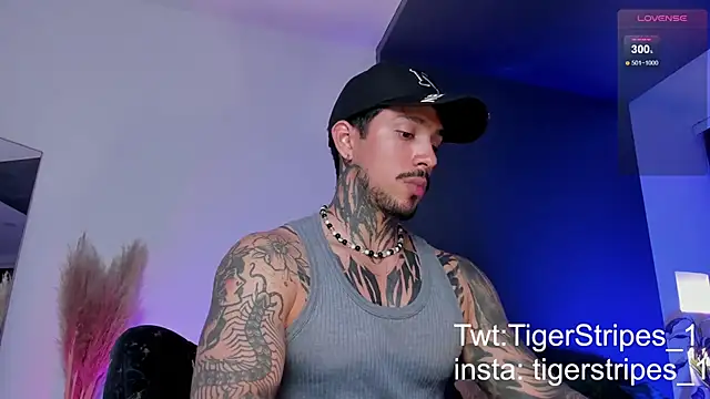 Snapshot of TigerStripes1_ chatting on 03.19.25 TigerStripes1 online show from 03.19.25