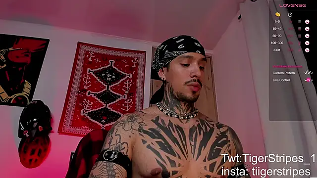 TigerStripes1  online show from 03.19.26