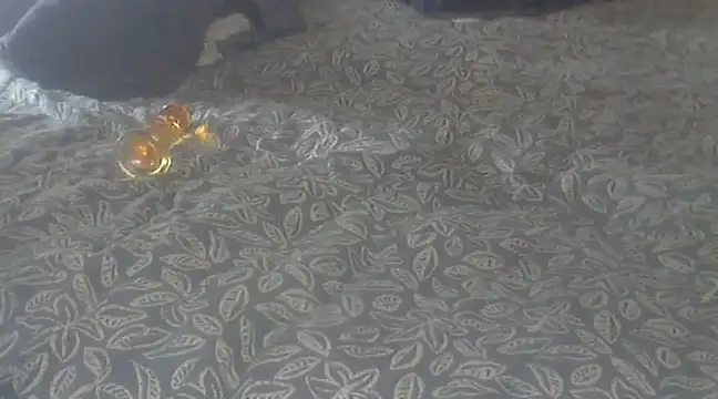 Snapshot of michaelknight101 chatting on 12.15.24 michaelknight101 online show from 12.15.24