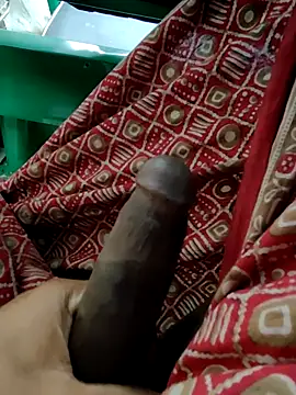 Kolkata   Boy online show from 01.11.26